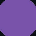 joaocarbone4 profile picture