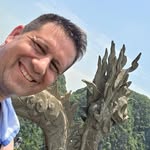 joaosc77 profile picture