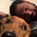 joefaifili profile picture