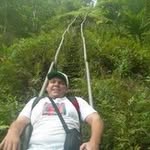 joepwhi profile picture