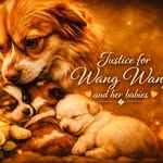 johanna_mai_dbarrs profile picture