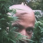 johndaponte profile picture