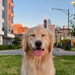 johndoe_ghy profile picture