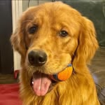 johnj2me profile picture