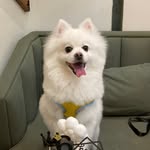 jojott827 profile picture
