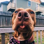 jolenethequeen_ profile picture