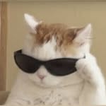 jonanwiergo profile picture