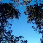 jonstebbings69 profile picture
