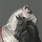 jooaza profile picture