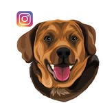 jordanswaytour profile picture