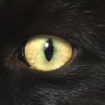 jordashel profile picture