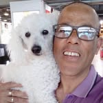 jorgepereirarodrig profile picture