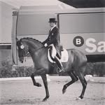 josea.garciamena profile picture