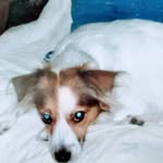 joseantonio.ruizgonzalez.7798 profile picture