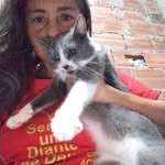 josefasilvasouza profile picture