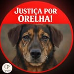 josefernandes1363 profile picture