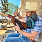 joseluis.gutierrezsilva profile picture