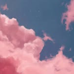 josephthorntonallan profile picture