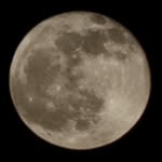 josh75781 profile picture