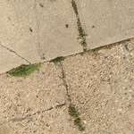 josh_goot profile picture
