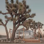 joshuatreeacres profile picture