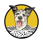 journeys.haus profile picture