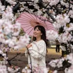 journeywithlina profile picture