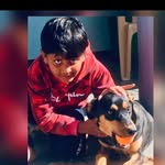 joyrathod19 profile picture