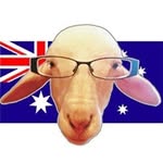 joythesheep profile picture