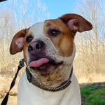jpegdotjpeg profile picture