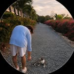 jsorrentino__ profile picture