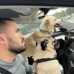 juanfelipebarreto profile picture