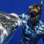 juansharks profile picture