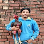 judge__mahla profile picture