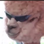 juelzsantananyc profile picture