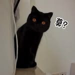 julianmmm3 profile picture