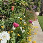 juliapalmergarden profile picture