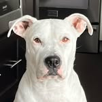 juliasamazinglife profile picture