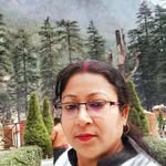 julibiswas170 profile picture