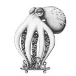 julietschreckinger profile picture