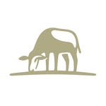 jumbybayresort profile picture