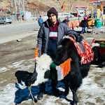 junaid_cherakkadath profile picture