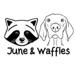 juneandwaffles profile picture