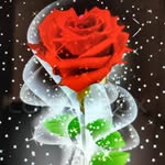 juned4608khan profile picture