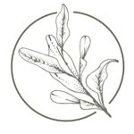 juniperandpineorganics profile picture