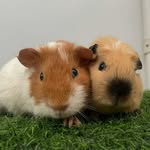 jupyandnup profile picture