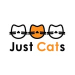 justcatsstore profile picture