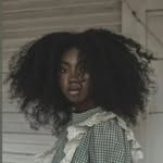 justdam profile picture