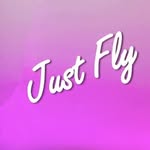 justfly.polewear profile picture