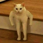 just_here_to_ruin_your_day profile picture